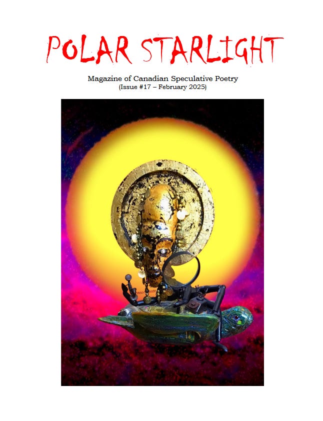 Cover of Polar Starlight 17.