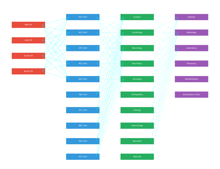 Complex patient flow neural network map linking 30 emergency, inpatient, specialty and support areas