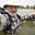 Jean-Christophe Jouffrey's avatar