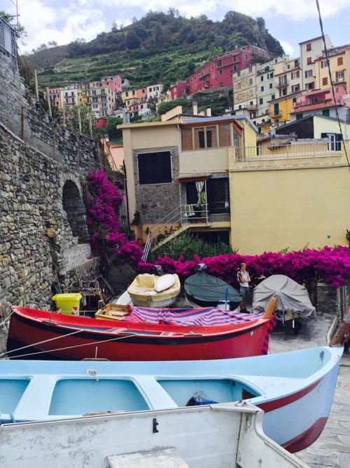 cinque terre colorful flowers and boats cinque terre colorful flowers and boats