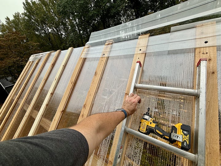 Two photos showing a man screwing battens and a ridge cap to a greenhouse.