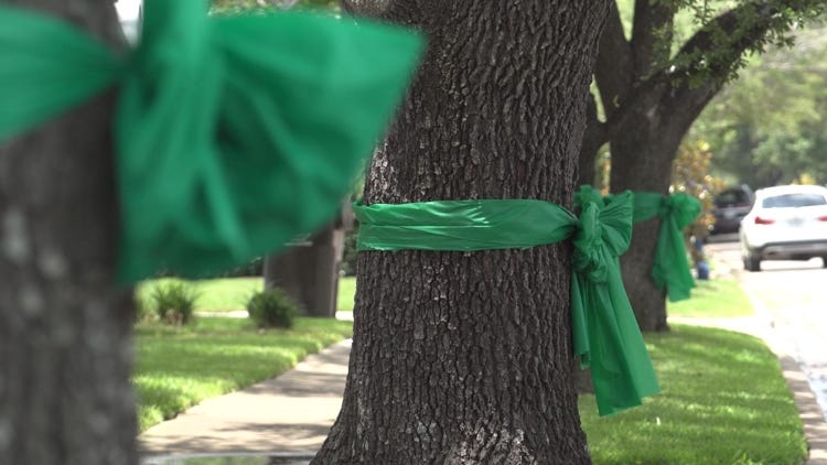 Texas flooding: Green ribbons honor victims from Camp Mystic | wfaa.com