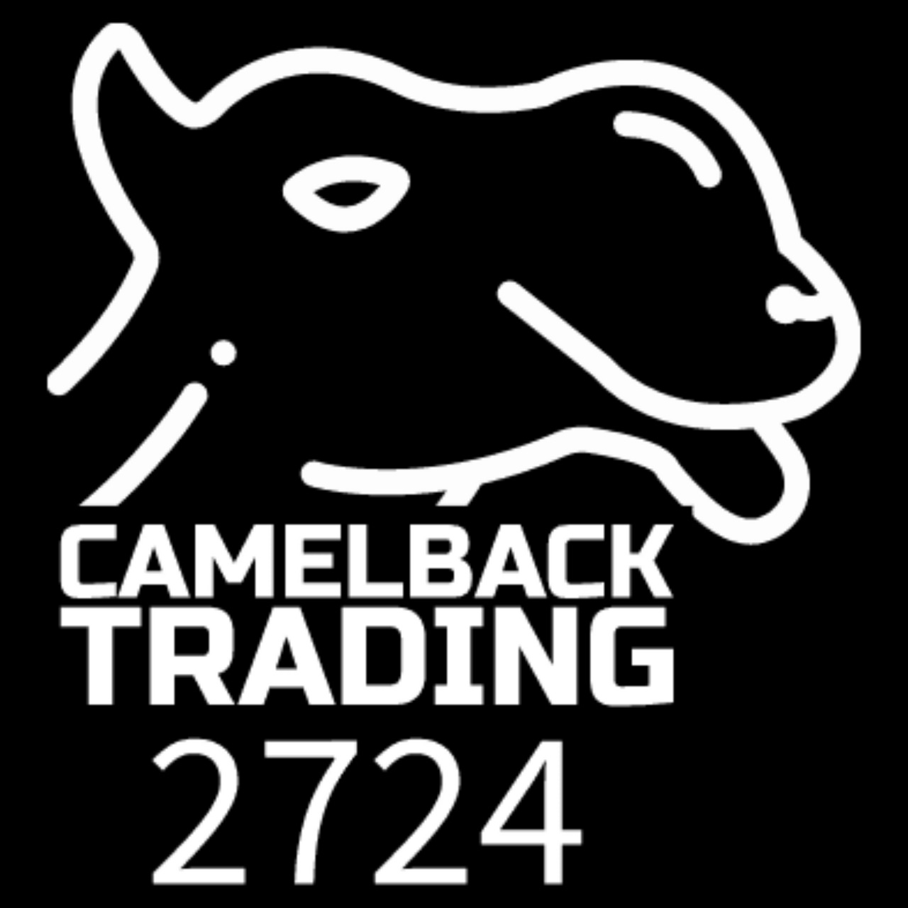  JP ◎ Camelback Trading's Market Profile Newsletter
