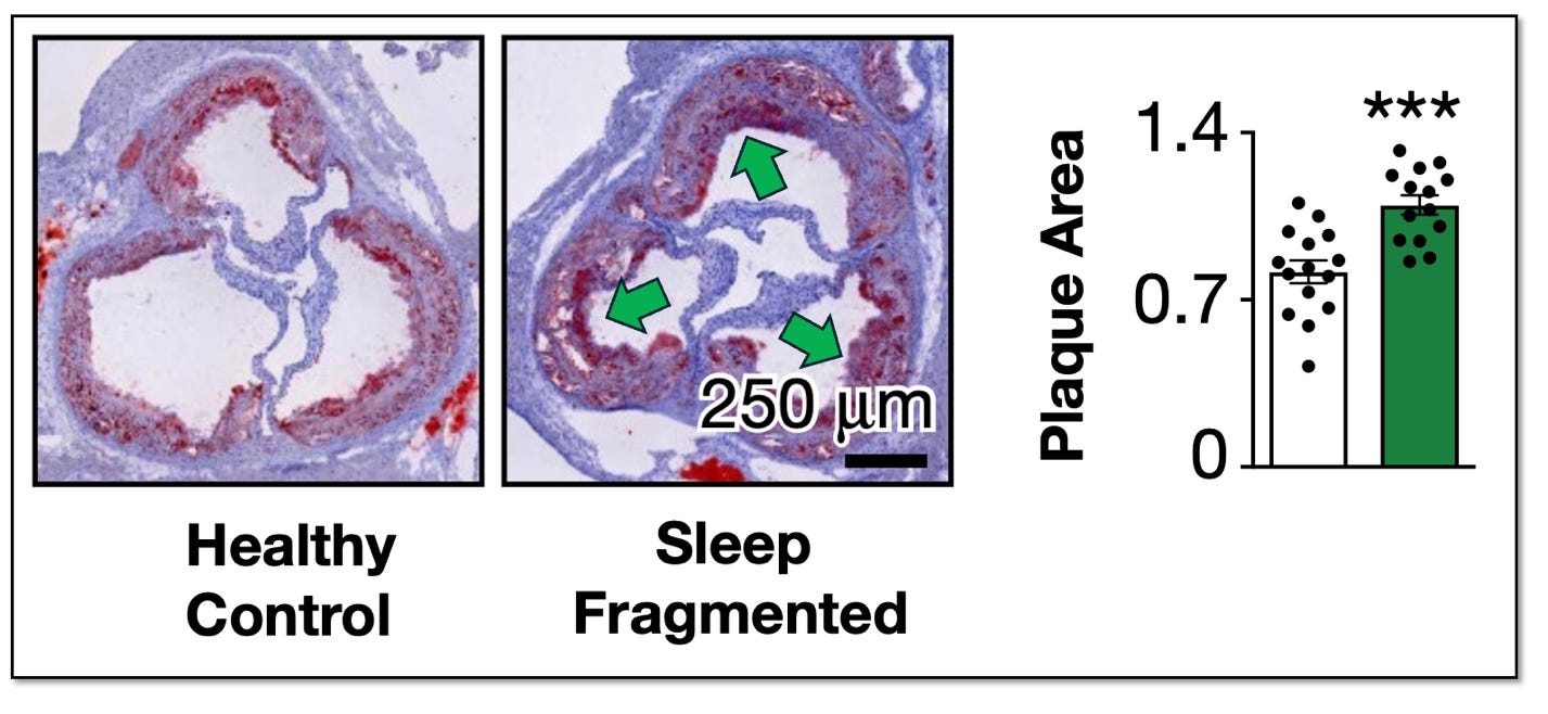 A close-up of a medical image
AI-generated content may be incorrect. A close-up of a medical image
AI-generated content may be incorrect.