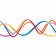 Signal Processing