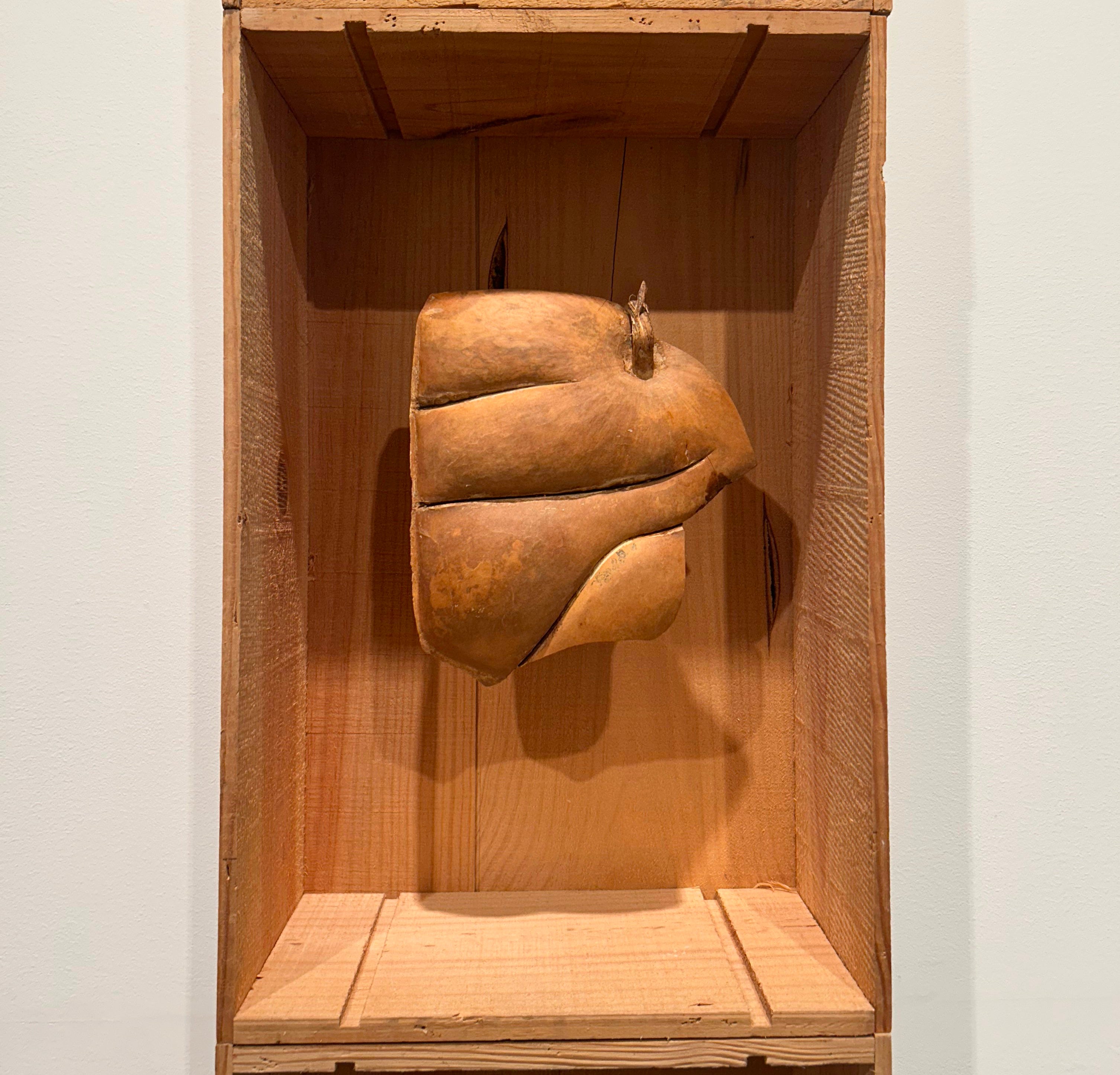 Mysterious objects, mysteriously arranged - by Jen Graves