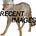 Recent Images's avatar