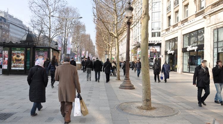 How to Appear French (Without Fully Understanding Anything)