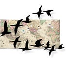 Announcing Migration Stories — Paths to Family History Through Community