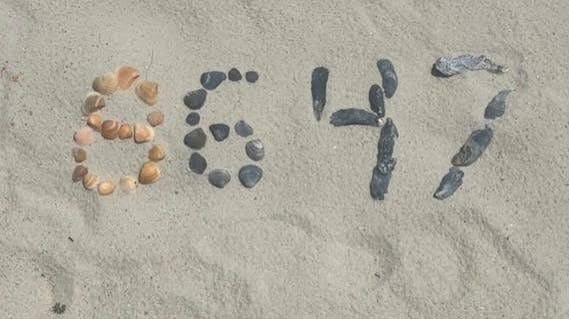 8647 spelled out with seashells on the beach