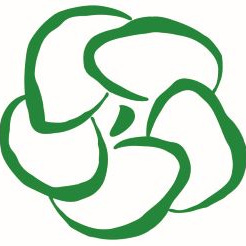 Jayne’s Newsletter