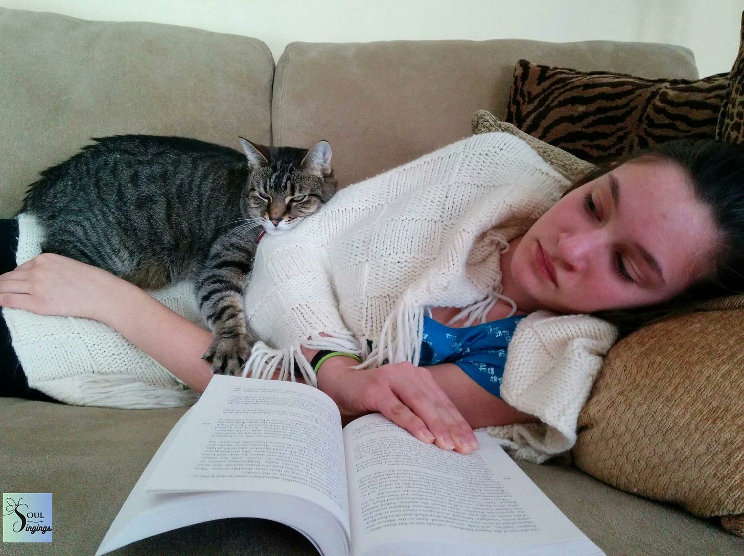 A Cat Named Jazzy