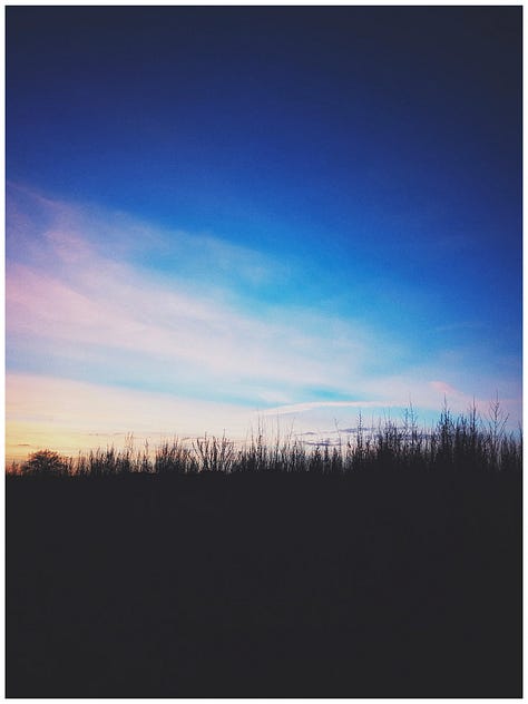 Photos of dusk in Wiltshire countryside 