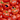 Hundred Tomatoes 