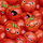 Hundred Tomatoes 