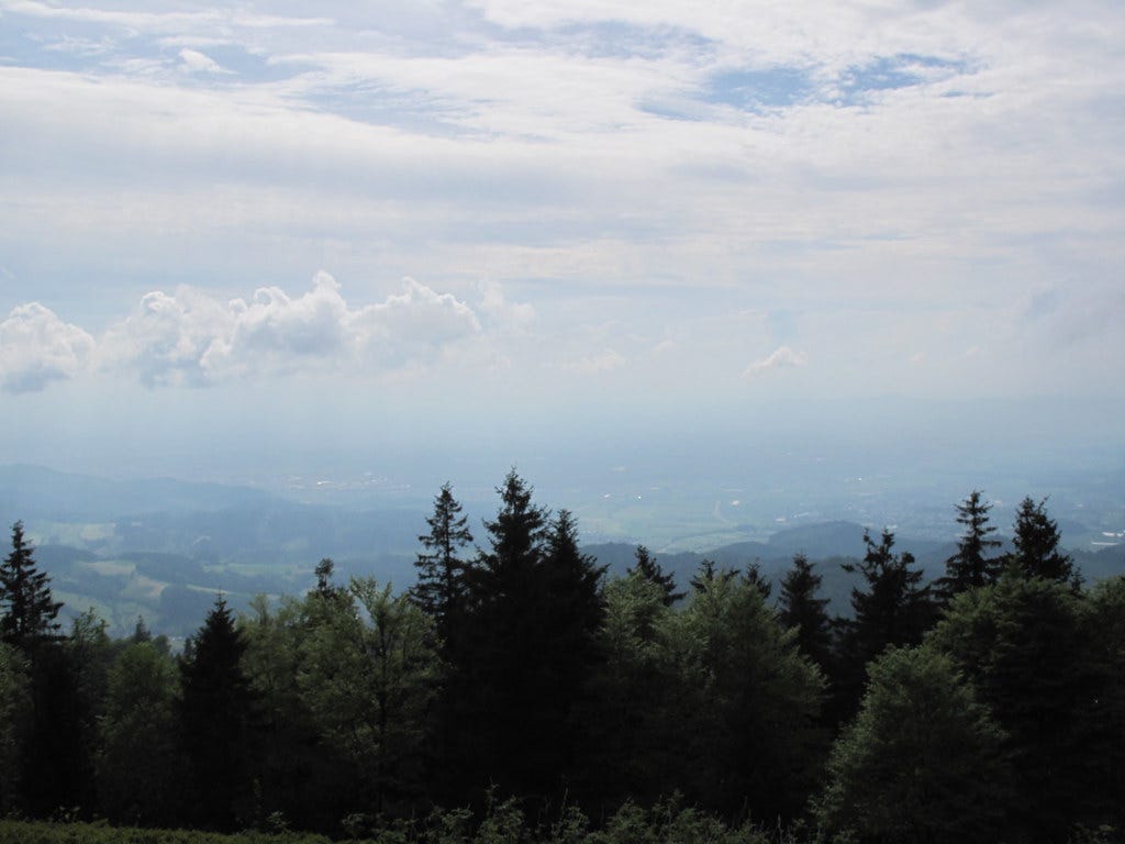 Schwarzwald Schwarzwald