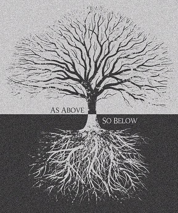 Mirrored black and white tree, with text saying as above so below Mirrored black and white tree, with text saying as above so below