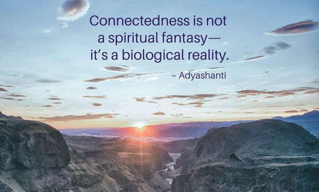 Connectedness Is Not A Spiritual Fantasy. It Is A Biological Reality.