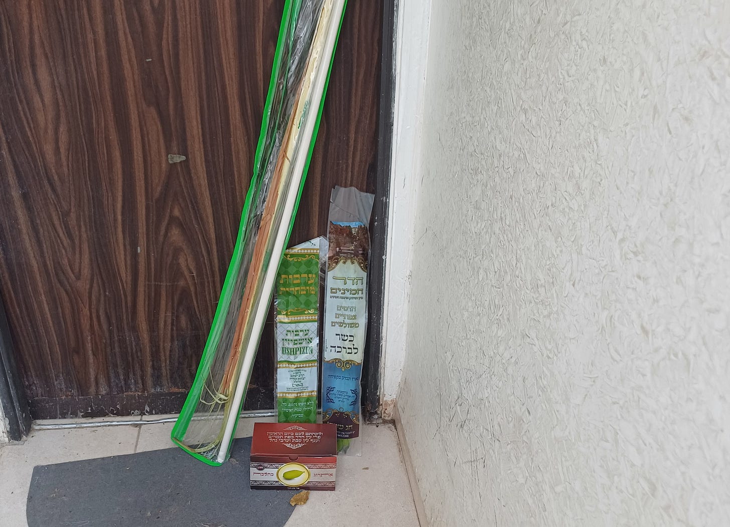 Lulav in plastic holder, plus the other 3 species used for the festival of Sukkot, leaning against a door.