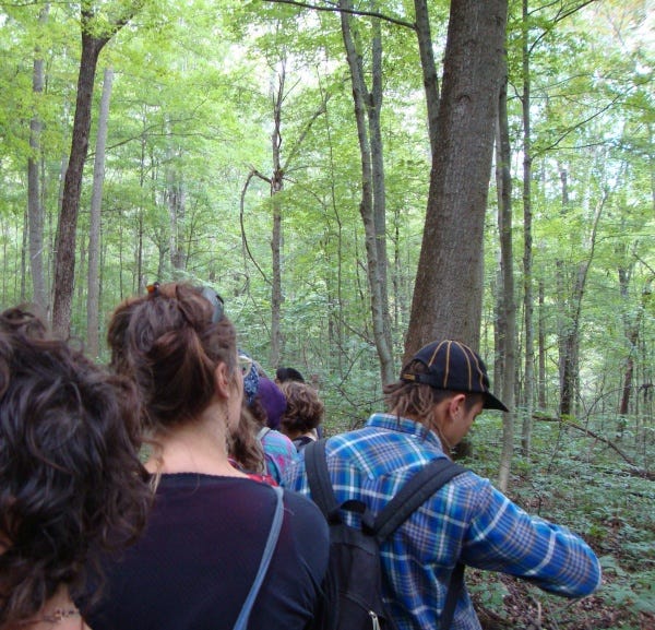 An image of black walnut tree trunk with a label and an image of people walking through Ohio woodland