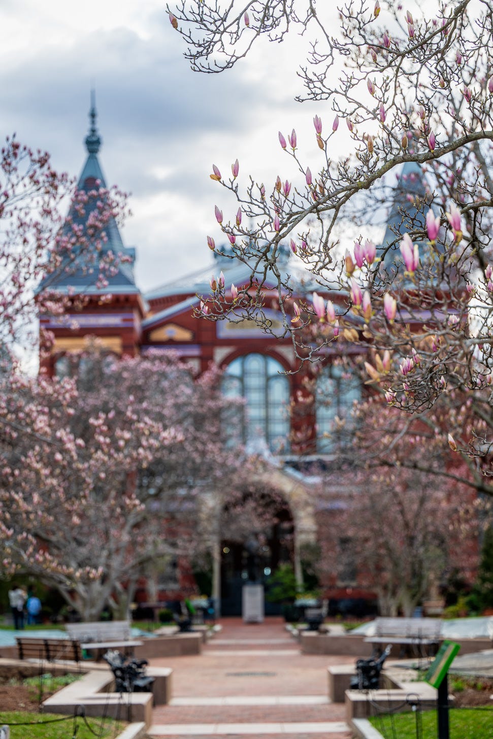 Cherry Blossom Watch Update: March 15, 2026