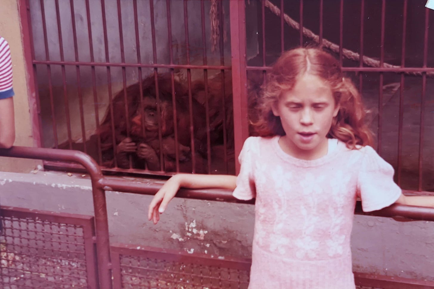 La foto es de 1981, yo poso delante de la jaula de los orangutanes. 