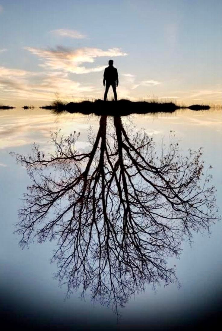 This may contain: a man standing on top of a tree with its reflection in the water This may contain: a man standing on top of a tree with its reflection in the water