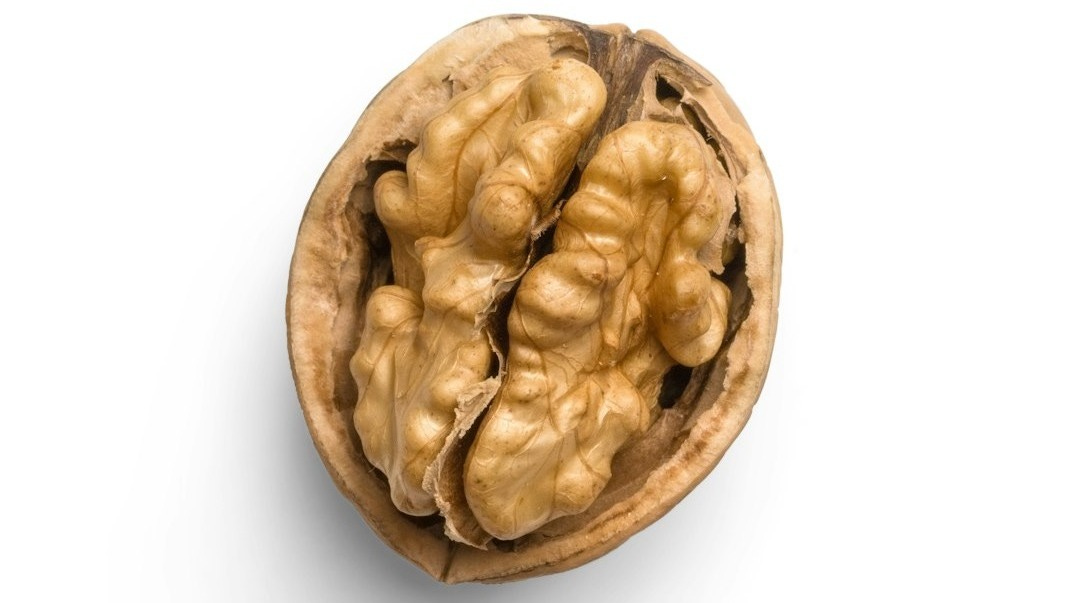 a whole walnut on a white background