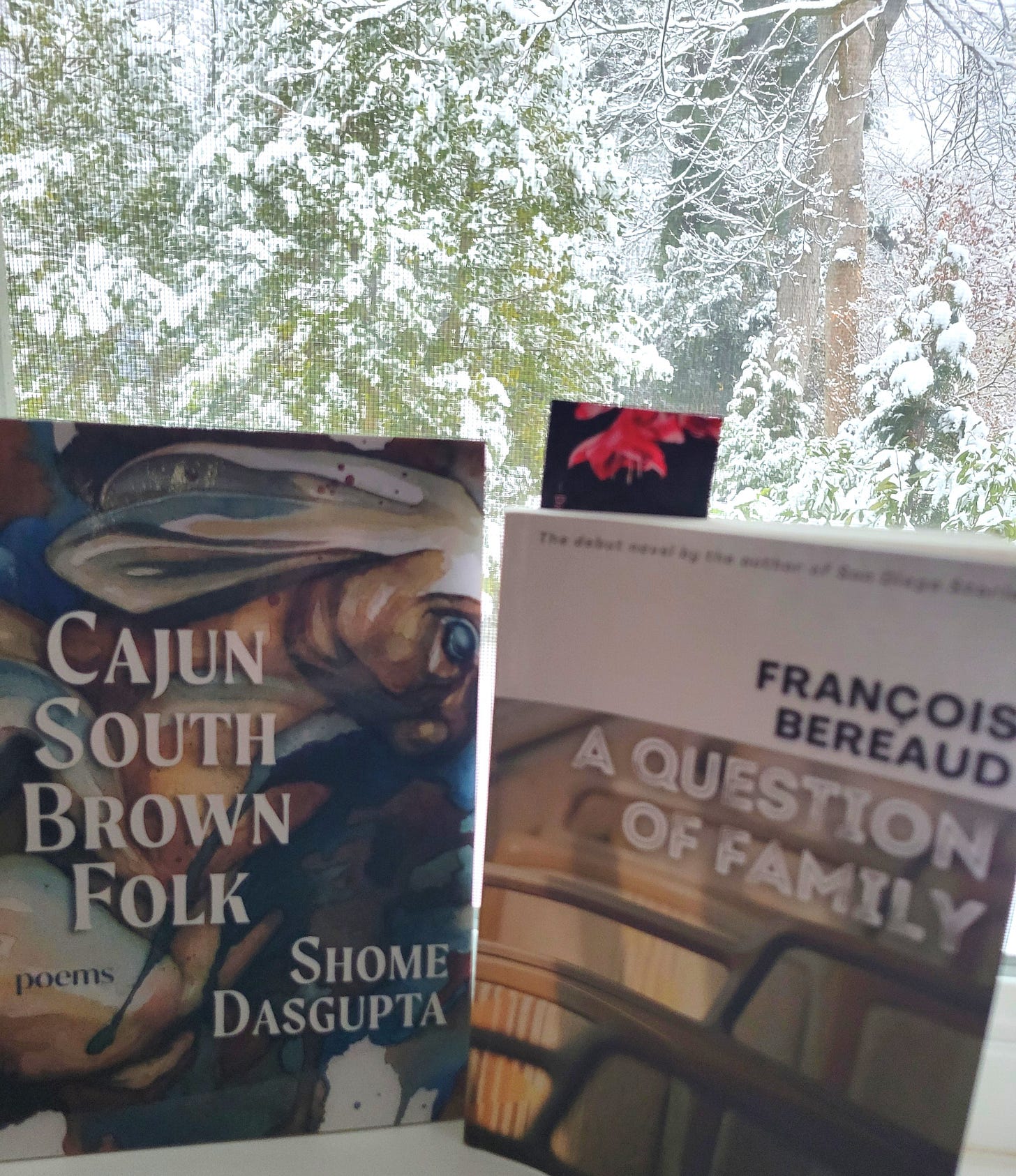 Snow covered trees in background behind screened window, on ledge are two books Cajun South Brown Folk poems by Shome Dasgupta and A question of Family by Francois Bereaud Snow covered trees in background behind screened window, on ledge are two books Cajun South Brown Folk poems by Shome Dasgupta and A question of Family by Francois Bereaud