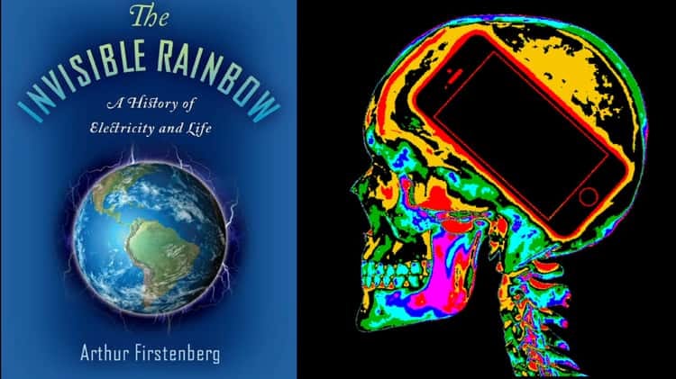 Inside My Head - Arthur Firstenberg - Electric Smog