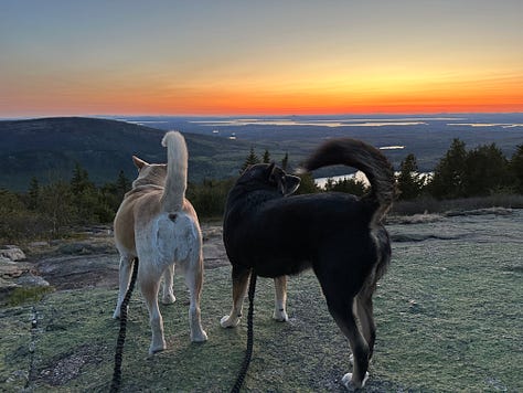 Photos of the campground, ocean, hiking, and dogs