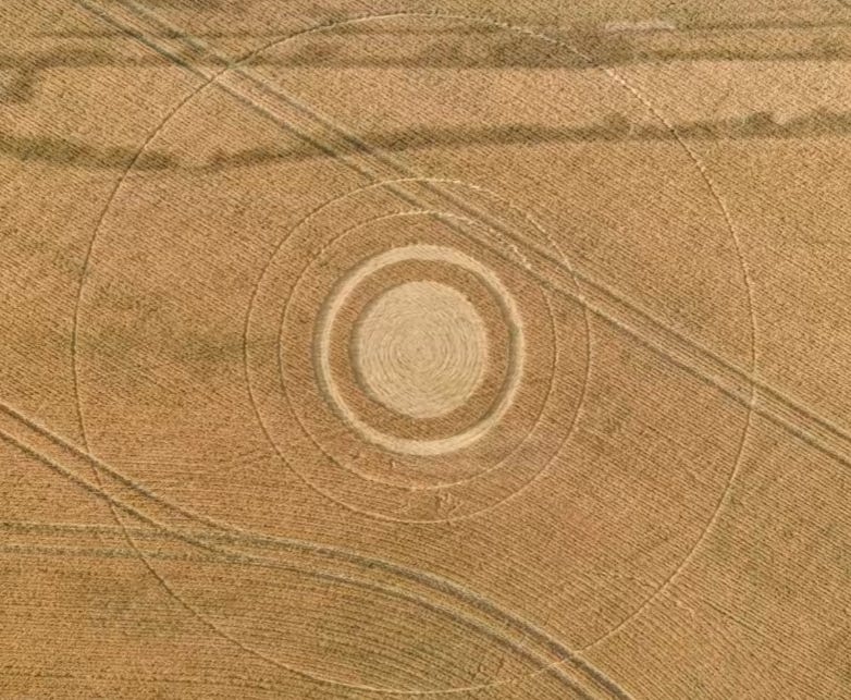 Image Image