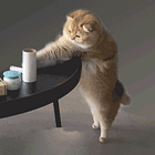 The 11,000 Top Comments Wishing For A Nice Not-Dick Dad! Tabs, Thurs., June 13, 2024