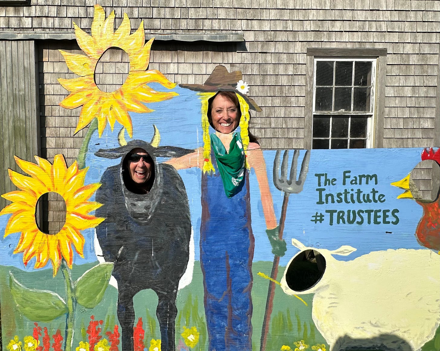 Experience joy at the Farm Institute, Martha's Vineyard
