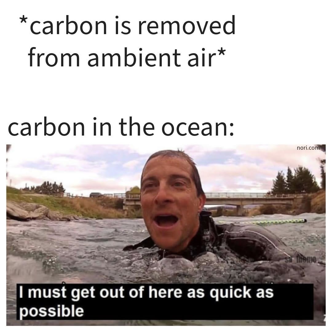 Text reading "*carbon is removed from ambient air* carbon in the ocean:" above Bear Grylls in a river saying "I must get out of here as quick as possible".