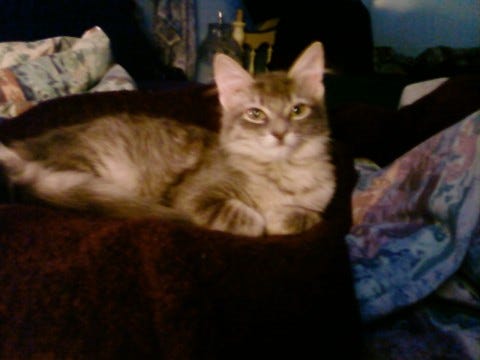 Kali pretty Kali pretty