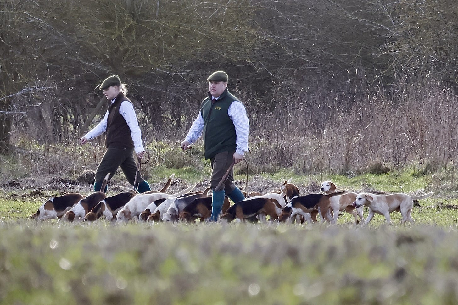 GUILTY: Pipewell Foot Beagles court report - Protect the Wild