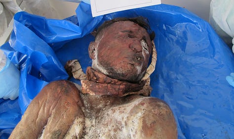 Gaza authorities publish shocking images of Israeli abuse as dozens of unidentified bodies are buried - Palestine Will Be Free