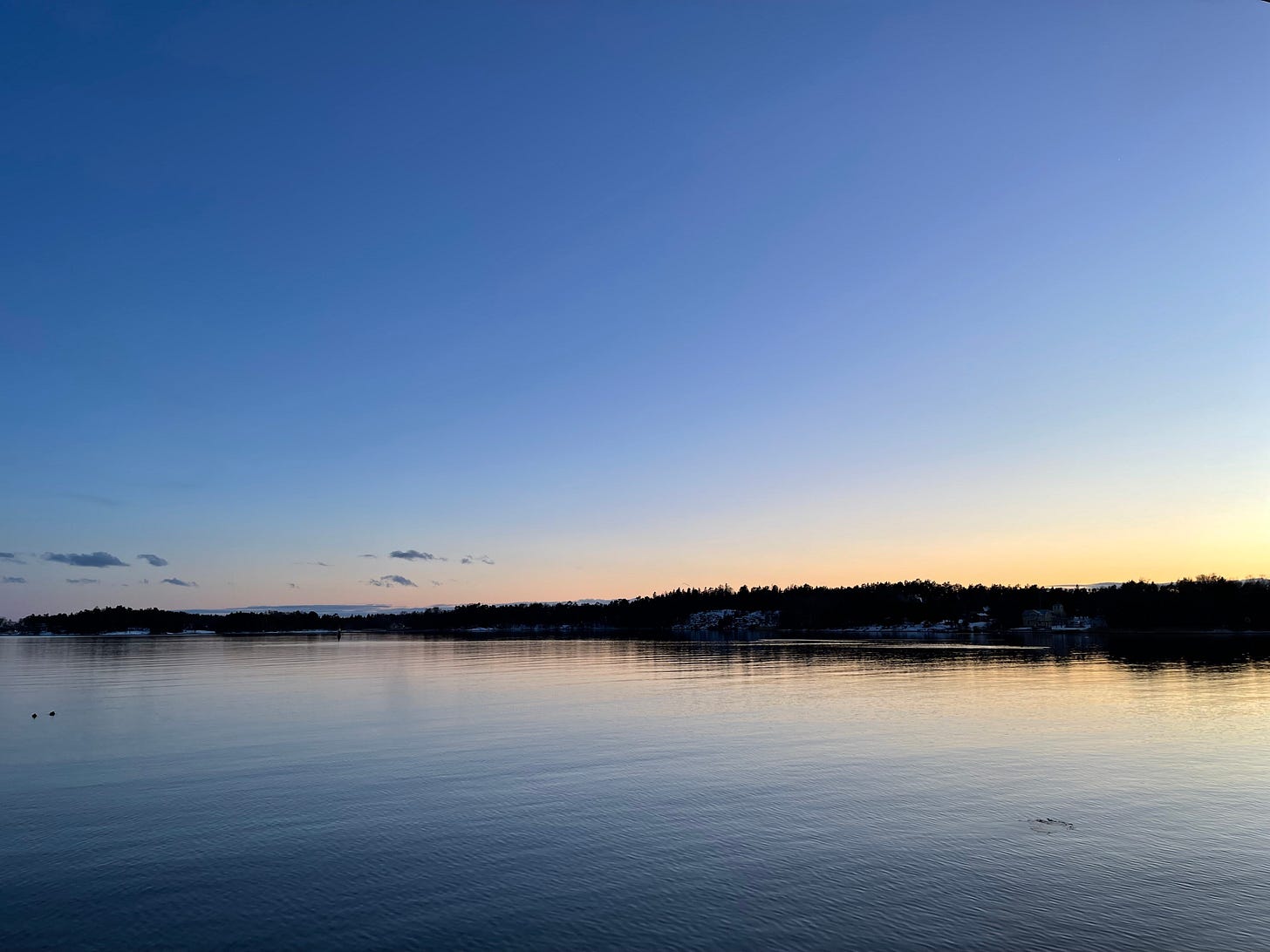A strip of dark, forest covered land separating the soft blue and yellow sunset coloured sky and the still water, blues and yellows reflected in it