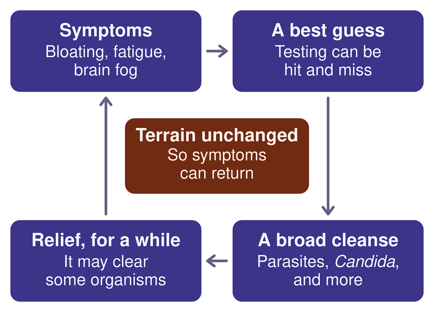 Why Parasite Cleanses Stop Working - by Pam Killeen