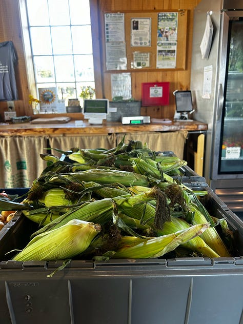 Pitney Meadows Community Farm