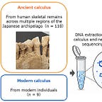 Anthropology.net