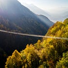 Plagued with problems getting to delivery? Solve them with a “steel thread." 