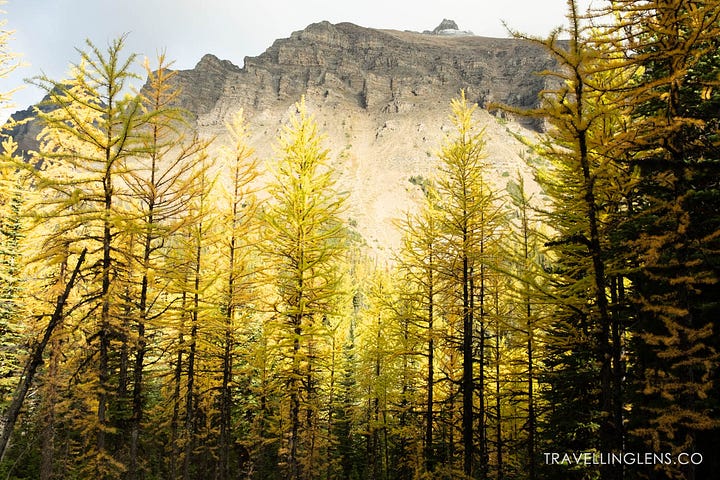 Canadian Rockies