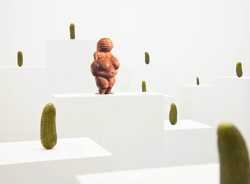 Taj Bourgeois — Albatross Taj Bourgeois — Albatross