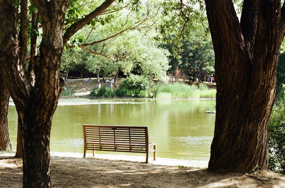 a park bench sitting next to a lake surrounded by trees