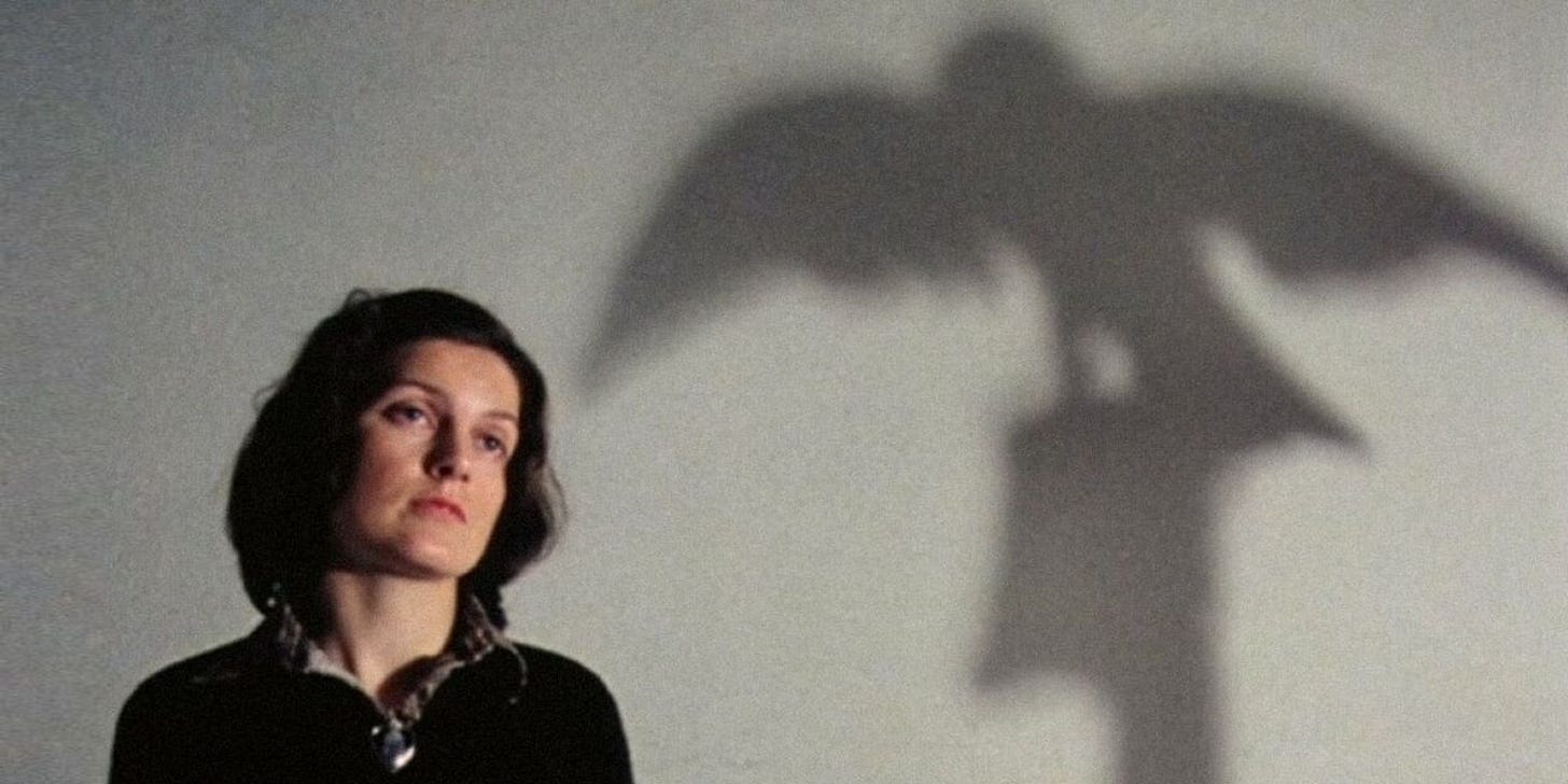 10 Best Peter Greenaway Movies, Ranked According to Letterboxd