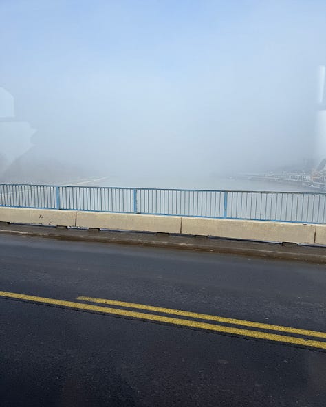 Views of the Danube and Sava Rivers and the city. 