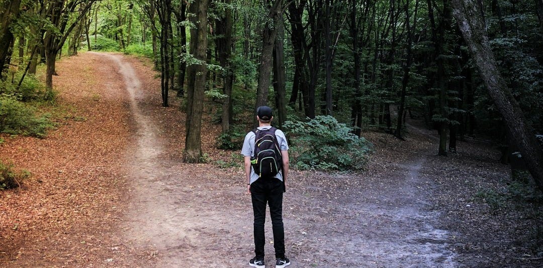man standing in the middle of woods
