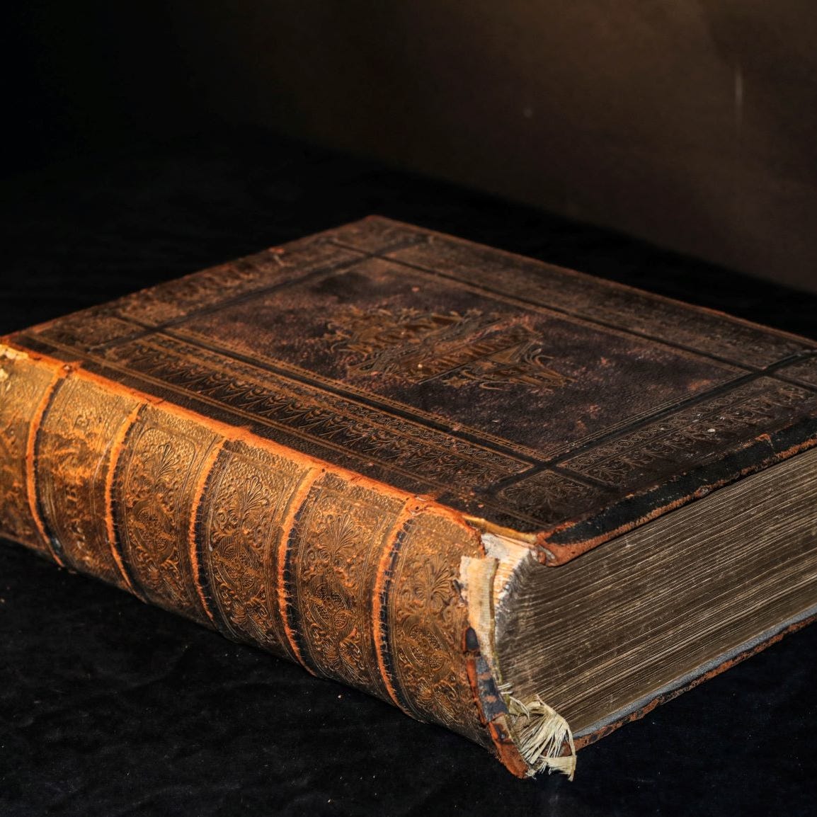 Lorinda’s Ponderings